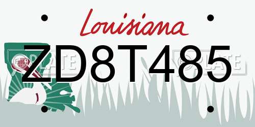 ZD8T485 Louisiana License Plate
