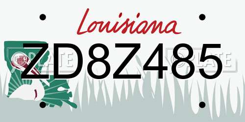 ZD8Z485 Louisiana License Plate