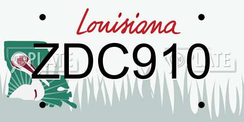 ZDC910 Louisiana License Plate