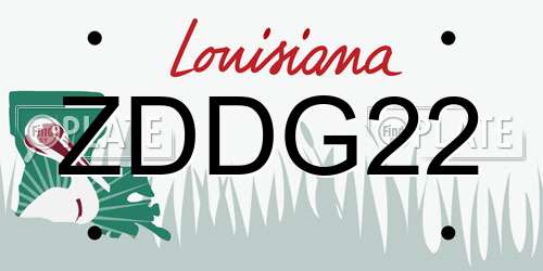 ZDDG22 Louisiana License Plate