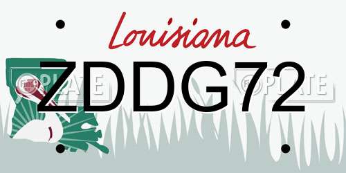 ZDDG72 Louisiana License Plate