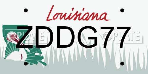 ZDDG77 Louisiana License Plate