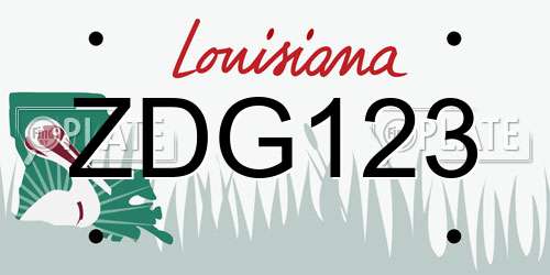 ZDG123 Louisiana License Plate