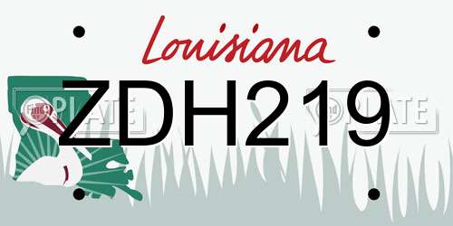 ZDH219 Louisiana License Plate