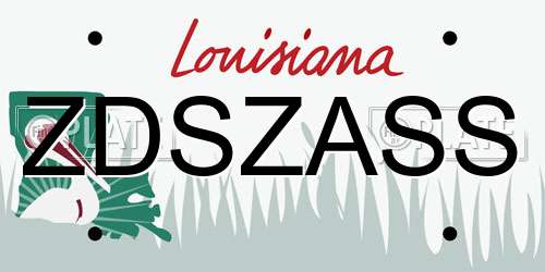 ZDSZASS Louisiana License Plate