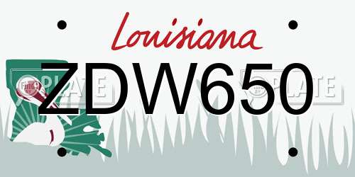ZDW650 Louisiana License Plate