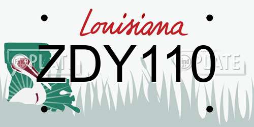 ZDY110 Louisiana License Plate