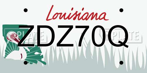 ZDZ70Q Louisiana License Plate