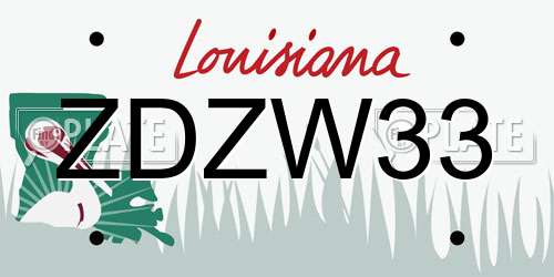 ZDZW33 Louisiana License Plate