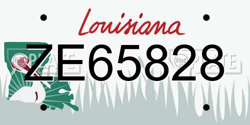 ZE65828 Louisiana License Plate