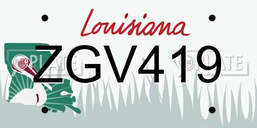 ZGV419 Louisiana License Plate