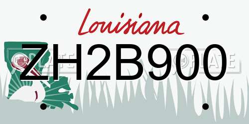 ZH2B900 Louisiana License Plate