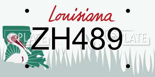 ZH489 Louisiana License Plate