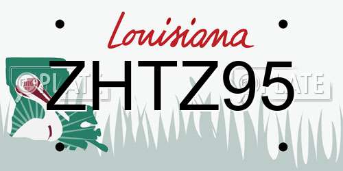 ZHTZ95 Louisiana License Plate
