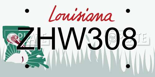 ZHW308 Louisiana License Plate
