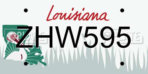 ZHW595 Louisiana License Plate