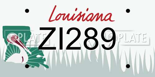 ZI289 Louisiana License Plate