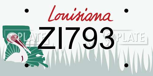 ZI793 Louisiana License Plate