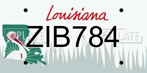 ZIB784 Louisiana License Plate
