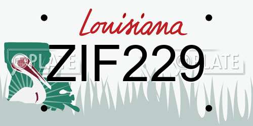 ZIF229 Louisiana License Plate