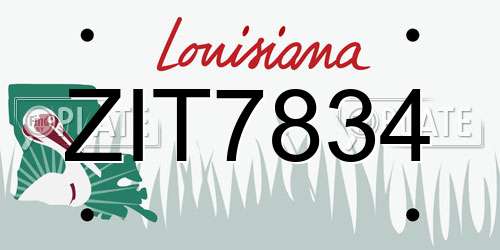 ZIT7834 Louisiana License Plate