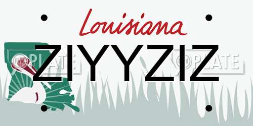 ZIYYZIZ Louisiana License Plate