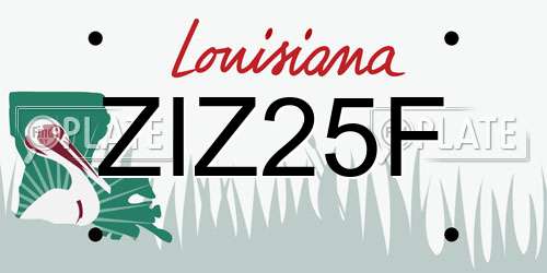 ZIZ25F Louisiana License Plate