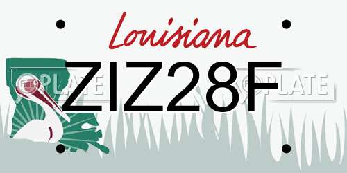 ZIZ28F Louisiana License Plate