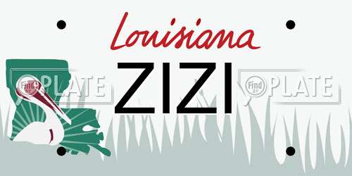 ZIZI Louisiana License Plate