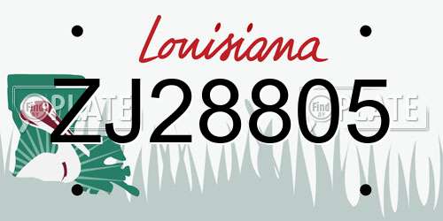 ZJ28805 Louisiana License Plate