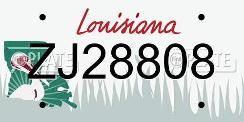 ZJ28808 Louisiana License Plate