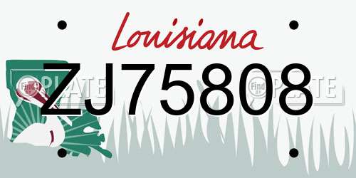 ZJ75808 Louisiana License Plate