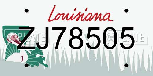 ZJ78505 Louisiana License Plate