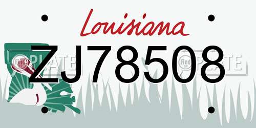 ZJ78508 Louisiana License Plate