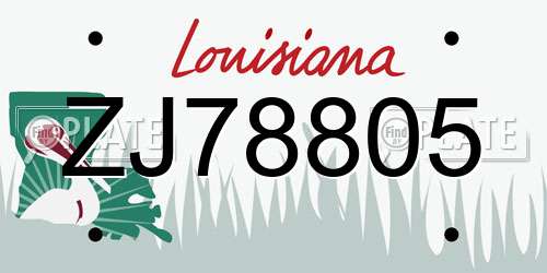 ZJ78805 Louisiana License Plate