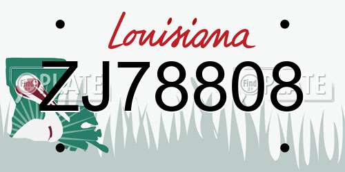 ZJ78808 Louisiana License Plate