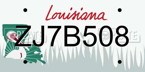 ZJ7B508 Louisiana License Plate
