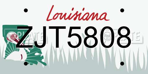 ZJT5808 Louisiana License Plate