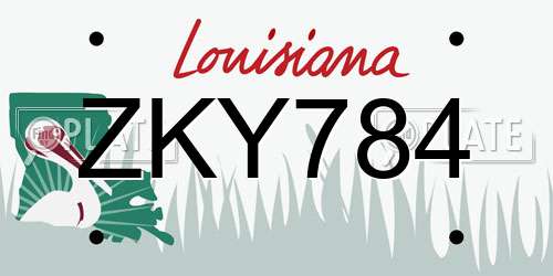 ZKY784 Louisiana License Plate