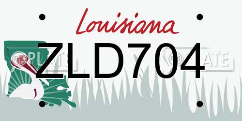 ZLD704 Louisiana License Plate