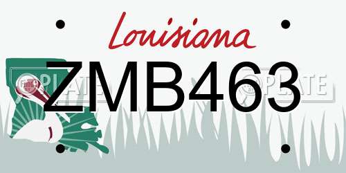 ZMB463 Louisiana License Plate