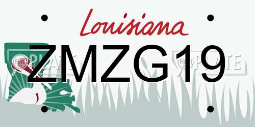 ZMZG19 Louisiana License Plate