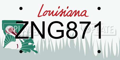 ZNG871 Louisiana License Plate