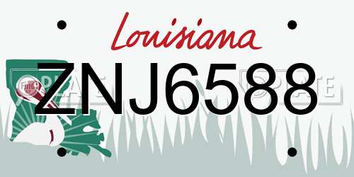 ZNJ6588 Louisiana License Plate
