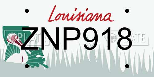 ZNP918 Louisiana License Plate