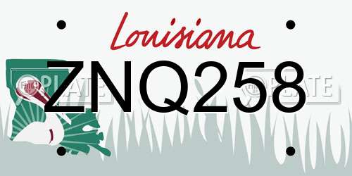 ZNQ258 Louisiana License Plate