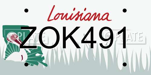ZOK491 Louisiana License Plate
