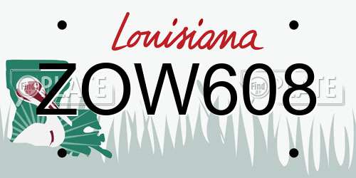 ZOW608 Louisiana License Plate