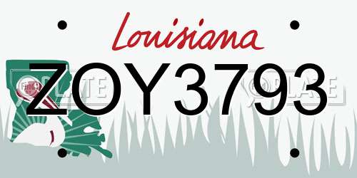 ZOY3793 Louisiana License Plate
