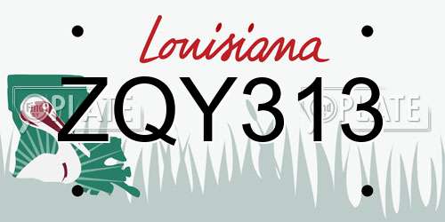 ZQY313 Louisiana License Plate